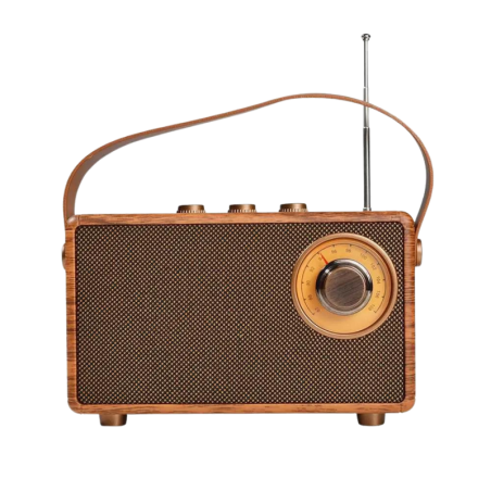 Wireless wooden FM radio